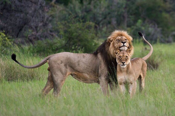 07-Days Murchison Falls, Queen Elizabeth & Gorillas Safari - Why this seven-day route works