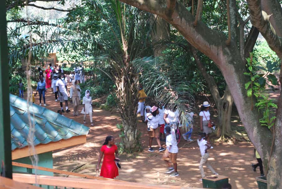 1-Day Best of Entebbe City Guided Walking Tour - Markets, fruit, and the fish sellers at Nambi