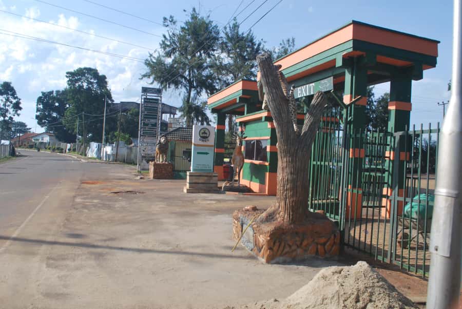 1-Day Best of Entebbe City Guided Walking Tour - The Chimpanzee Trust and a conservation lesson