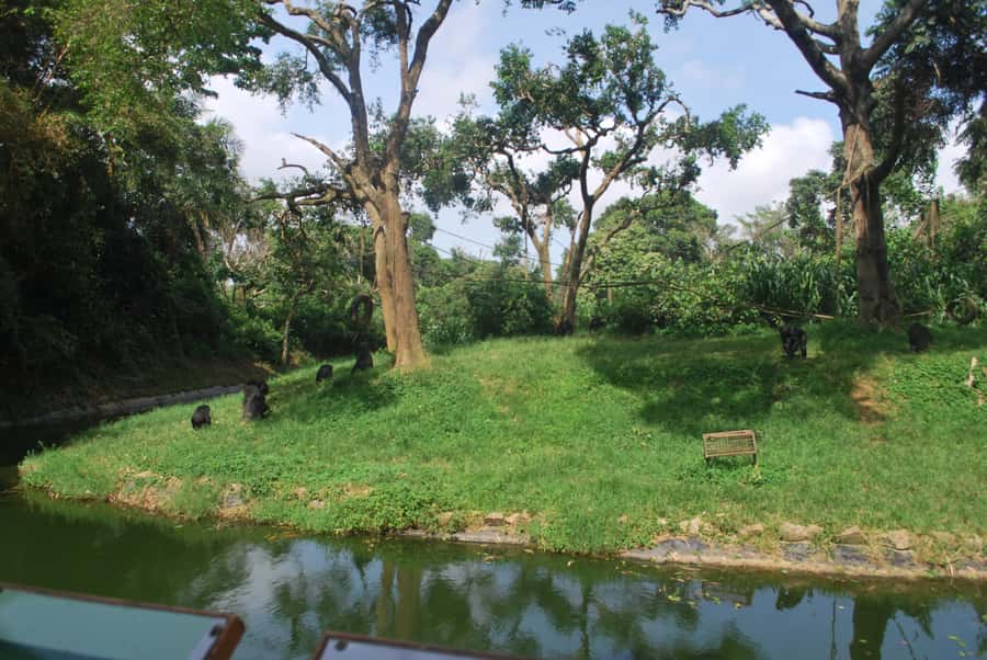 1-Day Best of Entebbe City Guided Walking Tour - Pearl Craft Village and souvenir shopping