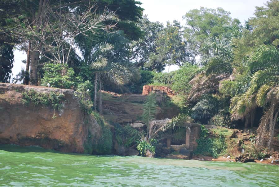 1-Day Best of Entebbe City Guided Walking Tour - Entebbe’s street food and the famous Rolex