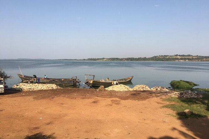 1 Day chimpanzee trekking at Ngamba Island - The 50-minute boat ride across Lake Victoria