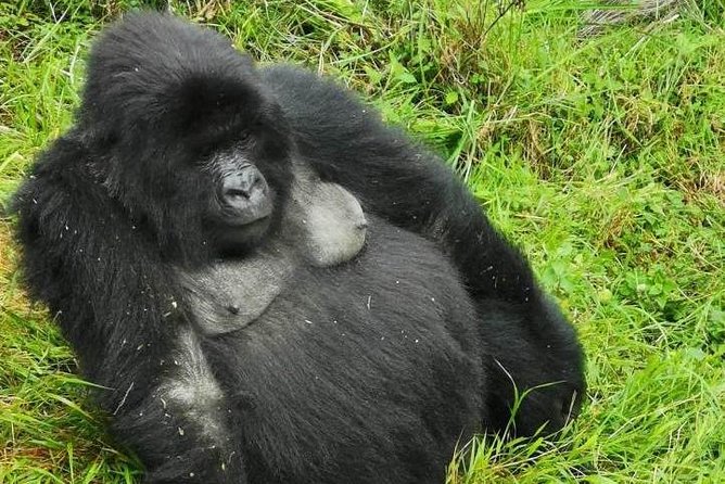 1 Day Gorilla Trekking Mgahinga Gorilla NP & Lake Bunyonyi - Leaving Lake Bunyonyi before sunrise