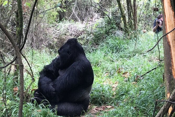 1 Day Gorilla Trekking Mgahinga Gorilla NP & Lake Bunyonyi - Returning to the lake after the trek