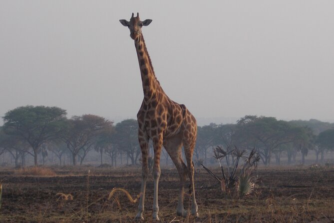 1 Day Lake Mburo Wildlife Safari - Entering Lake Mburo National Park