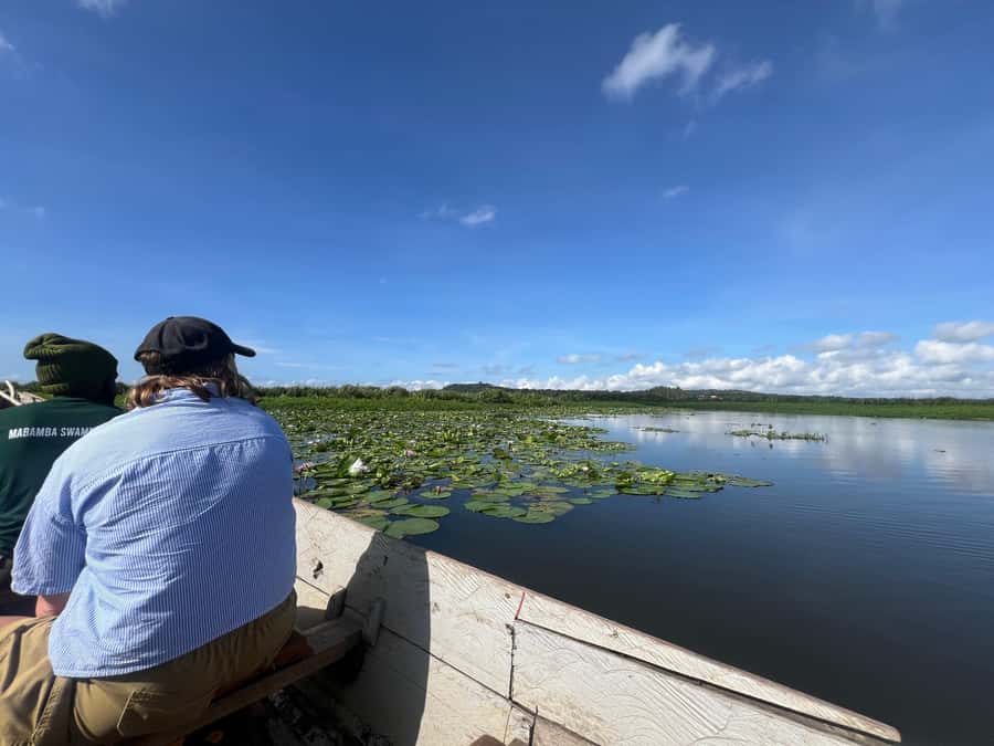 1-Day Mabamba Shoebill Birding Tour in Lake Victoria Entebbe - Finding the shoebill without expecting a perfect photograph