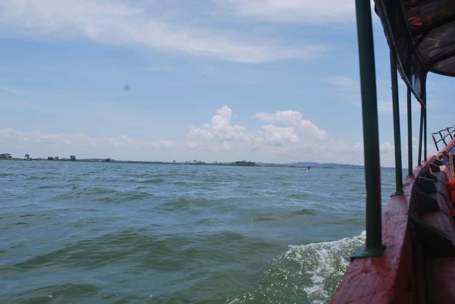 1-Day Mabamba Shoebill Birding Tour in Lake Victoria Entebbe - From Entebbe to Nakiwogo Landing Site