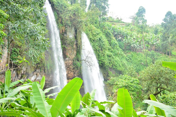 1 Day Sipi falls hike - Guides who make the difference