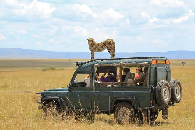 10-Day African Safari in Uganda from Kampala - The long return to Kampala or Entebbe
