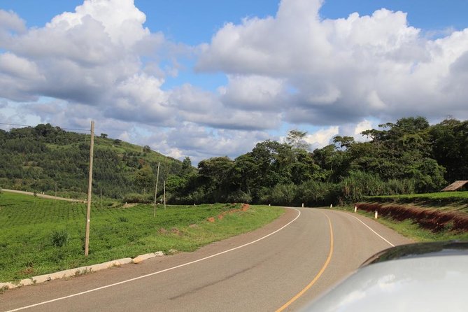 10 Day Western Uganda Budget Wildlife Safari - Day 5: Kasenyi plains and the Kazinga Channel