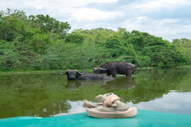 10 Days Affordable Gorilla Trekking Holiday - What $3,955 includes, and what it does not