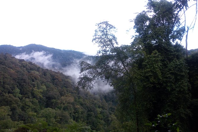 10 Days Uganda Gorilla & Chimpanzee Trekking Safari - Queen Elizabeth and the Kazinga Channel