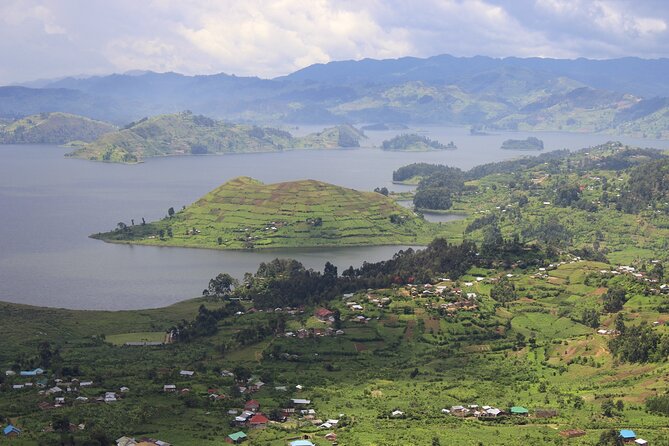 10-Days Uganda Gorillas and Chimpanzee Wildlife Discovery - Bwindi gorilla tracking: the trip’s defining day