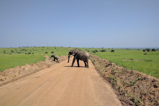 11 Days Uganda +Gorillas - Lake Bunyonyi gives the route a gentler finish
