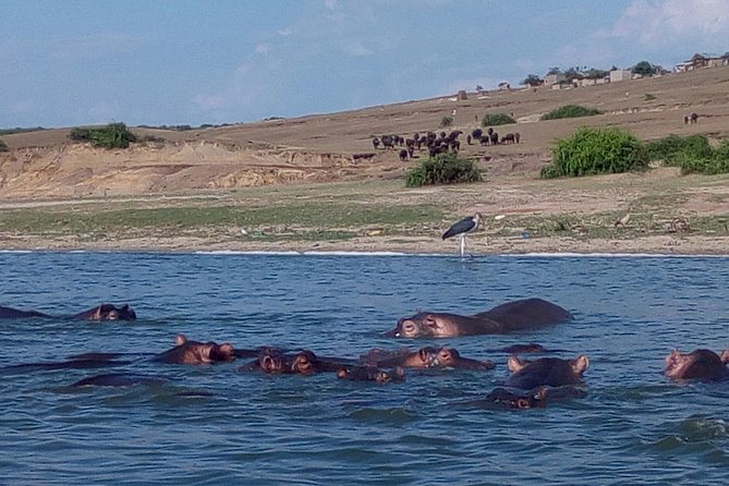 11 Days Uganda +Gorillas - What the $4,500 price really covers