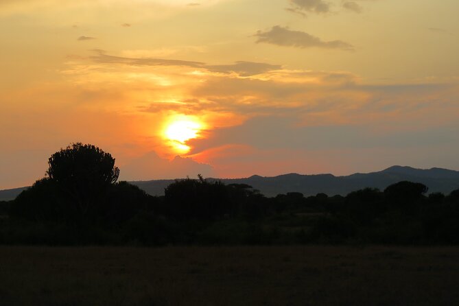 12-Day Moderately Priced Pearl of Africa - Uganda Private Safari - Day 9: Gorilla trekking in Bwindi