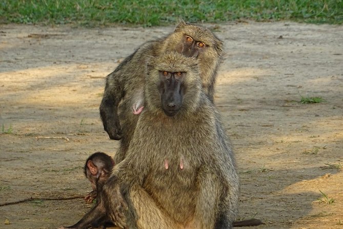 12 Days Memorable Experience tour in Uganda - Days 4 and 5: Moroto and the Karamoja experience
