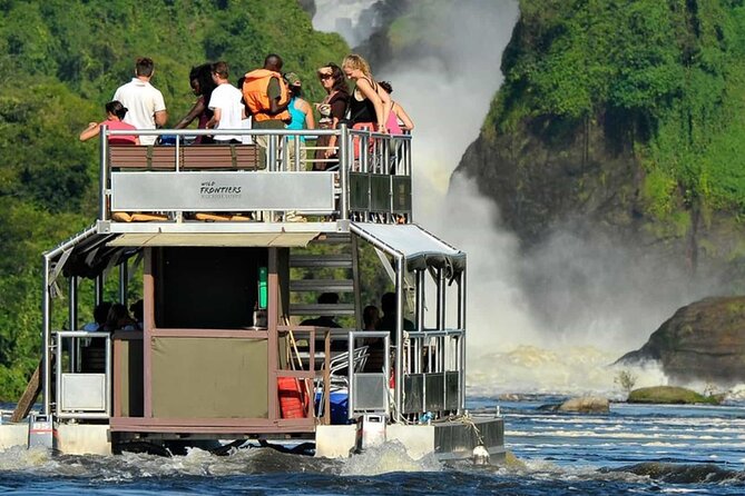 13 Days Wildlife Adventure Trip To The Pearl Of Africa - Days 8 to 10: Ishasha and the Bwindi gorilla trek