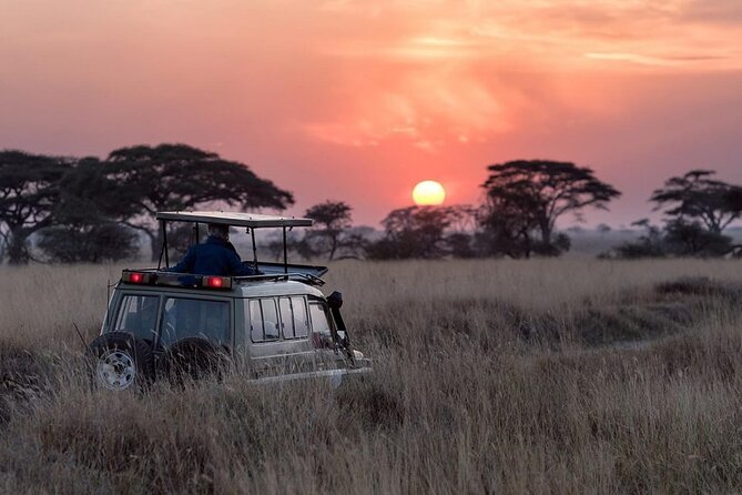 13 Days Wildlife Adventure Trip To The Pearl Of Africa - Days 12 and 13: Lake Mburo and the road to Entebbe