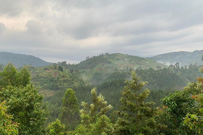 14 Day Pearl of Africa Uganda Classic Wildlife Safari - Queen Elizabeth, crater lakes, and the Kazinga Channel