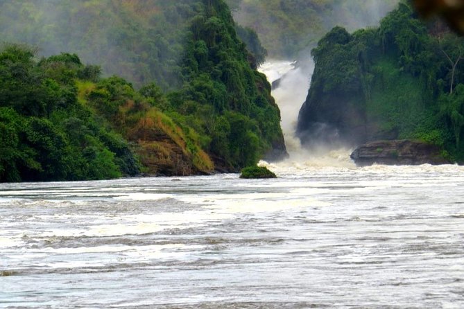 15 Day Gorillas, Chimps and Big 5 Safari Tour - Days 3 and 4: Semuliki’s hot springs and a route detail to check