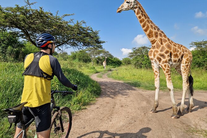 2 Days Cycling Safari To Lake Mburo National Park - Why Lake Mburo Works So Well by Bicycle