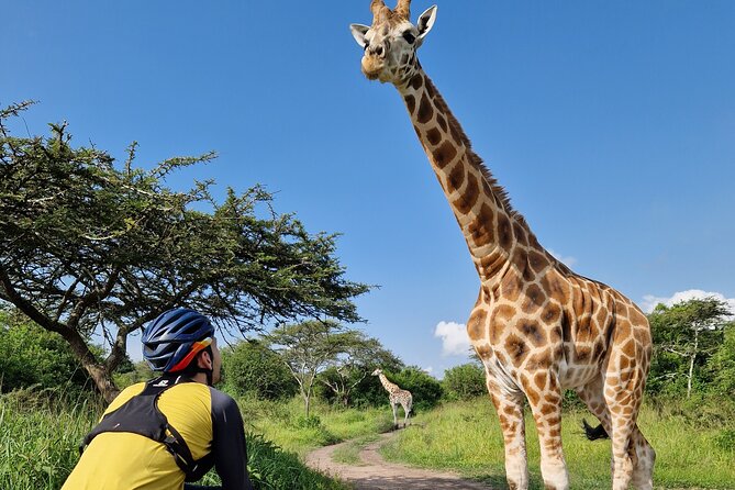 2 Days Cycling Safari To Lake Mburo National Park - Your First Ride Along the Park Edge