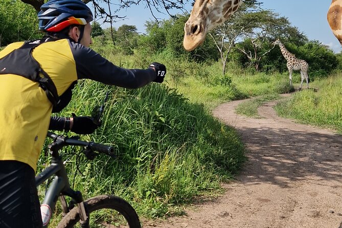 2 Days Cycling Safari To Lake Mburo National Park - One Night of Full-Board Accommodation