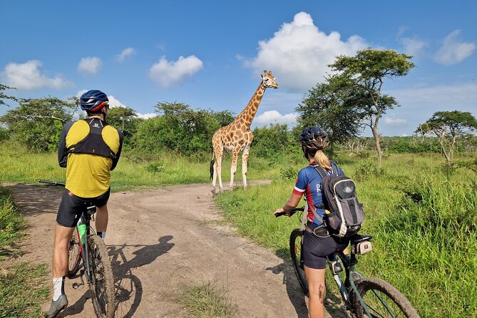 2 Days Cycling Safari To Lake Mburo National Park - The Night Safari Costs Extra