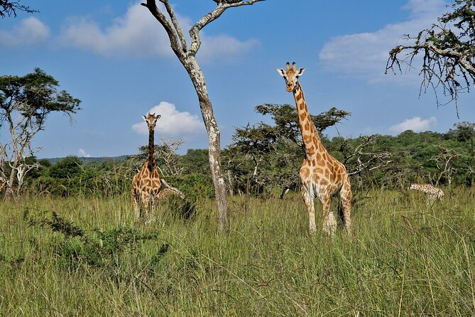 2 Days Cycling Safari To Lake Mburo National Park - A Useful Break at the Equator
