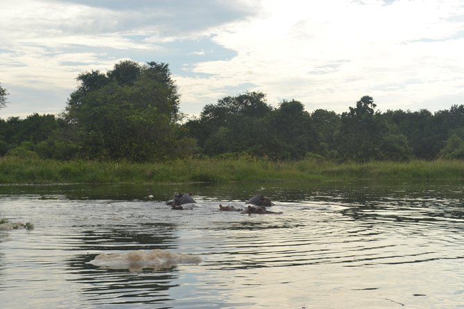 2 Days Family Safari to Murchison Falls Park Uganda - Murchison Falls from the top