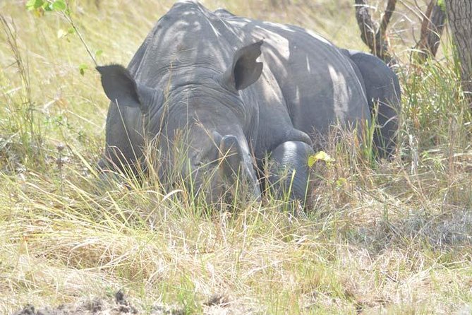 2 days Murchison Falls and Wildlife Game Viewing - The 5:30 am pickup from Kampala