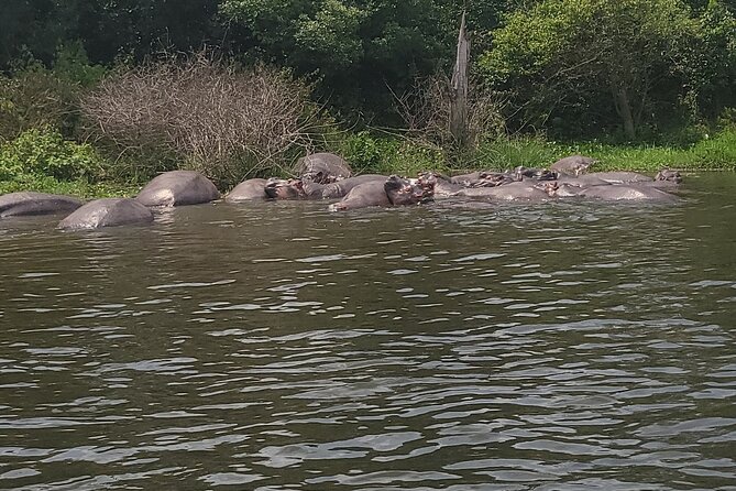 2 Days Murchison Falls Park Vacation - Is two days enough for Murchison Falls?