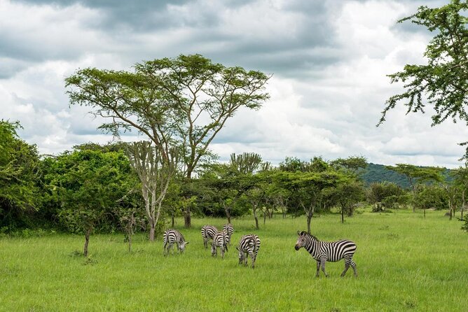 2 Days Popular Safari to Lake Mburo National Park - Why Lake Mburo works for a two-day safari