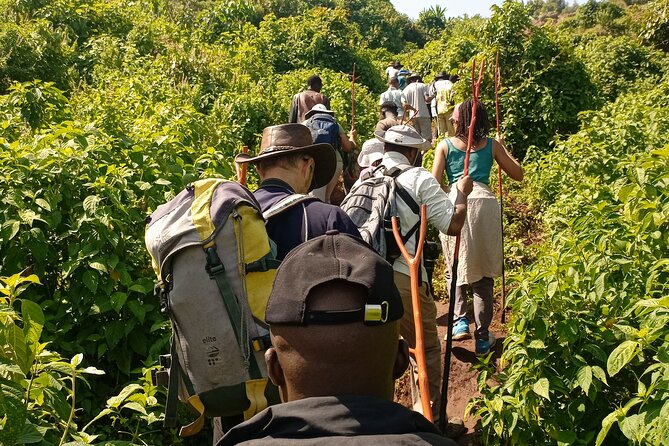 2 Days Sipi Falls Hike and Coffee Tour - Who Should Book This Sipi Falls Trip?