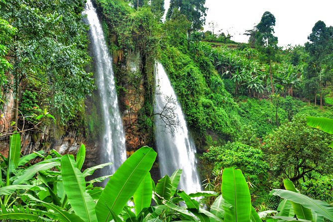 2 Sipi Falls hike and Coffee Tour Experience - Walking to all three waterfalls