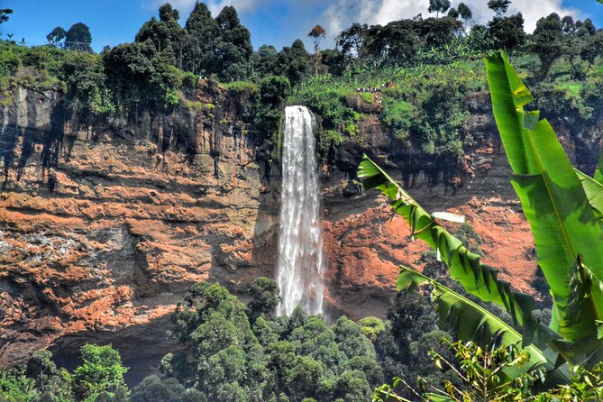 2 Sipi Falls hike and Coffee Tour Experience - What makes the guiding valuable