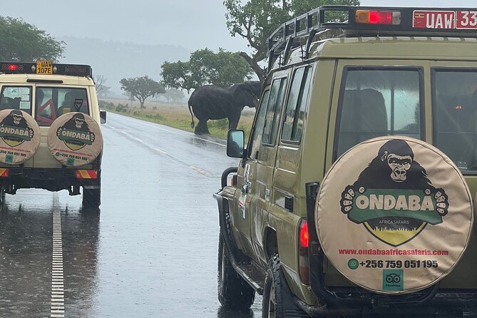 2Days Murchison Falls NP Safari - Day two: an early game drive
