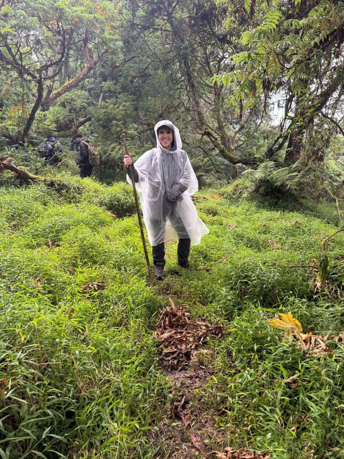 3-Day Gorilla Experience In Uganda - What $1,850 buys you