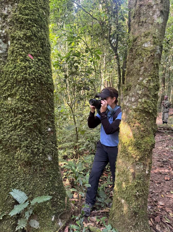 3-Day Gorilla Experience In Uganda - Booking details worth checking first