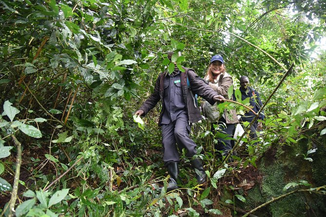 3-Day Gorilla Trekking safari in Bwindi Impenetrable Forest - The return to Entebbe on Day 3