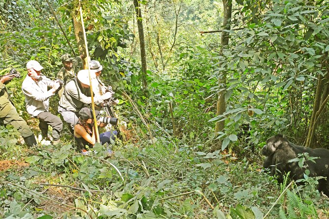 3 Day Guided Gorilla Tracking Safari At Bwindi National Park - Day three combines a long return with the Equator