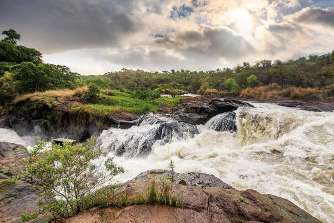 3-Day Mind Refreshing in Murchison Falls National Park - Why this three-day safari works