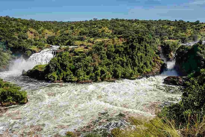 3-Day Mind Refreshing in Murchison Falls National Park - Day 2: Game drives and the Nile to the falls