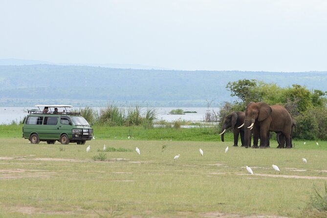 3 Day Murchison Falls' BIG 5 and Wildlife viewing Safari - Small practical details that matter