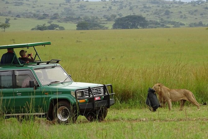 3-Day Murchison Falls National Park - Adventure Safari - Meals, lodging, and the real value of $1,580