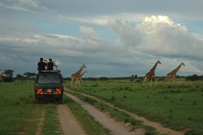 3-Day Murchison Falls National Park - Adventure Safari - Booking details worth checking first