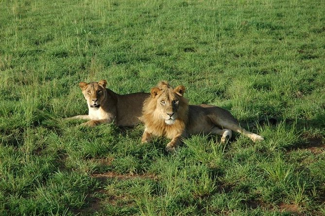 3-Day Murchison Falls National Park - Adventure Safari - Should you book this Murchison Falls safari?