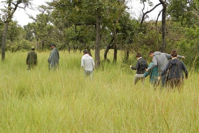3-Day Murchison Falls National Park - Adventure Safari - Day two: game drives and the Victoria Nile