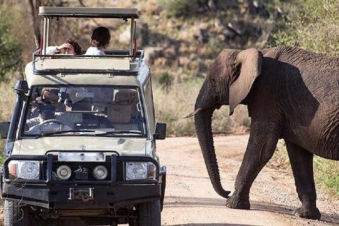 3-Day Safari in Queen Elizabeth National Park Uganda from Kampala - What the $1,125 price includes